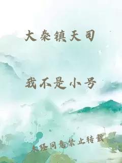 大秦镇天司